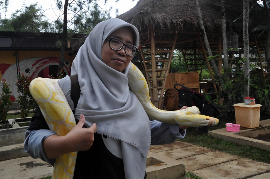 The beginning of the journey